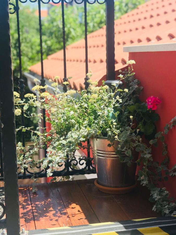 Holiday home House Of Milka Zadar